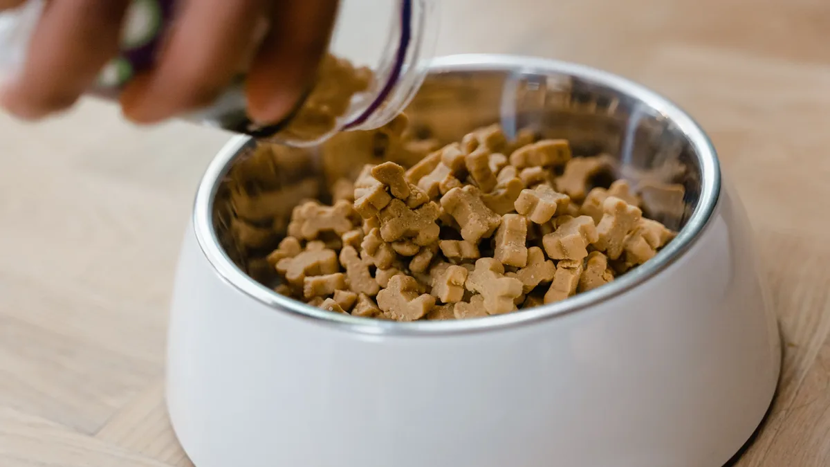 A white dog bowl filled with dry dog food, with a hand pouring more food into it.